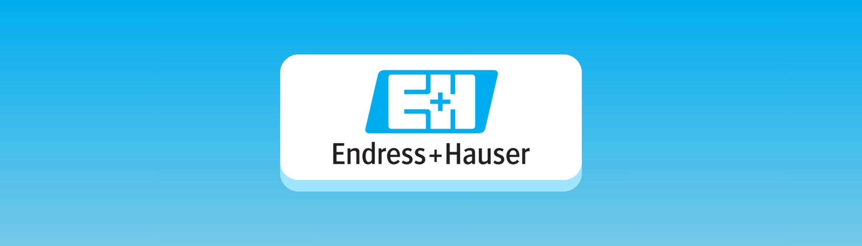 Endress Hauser Banner